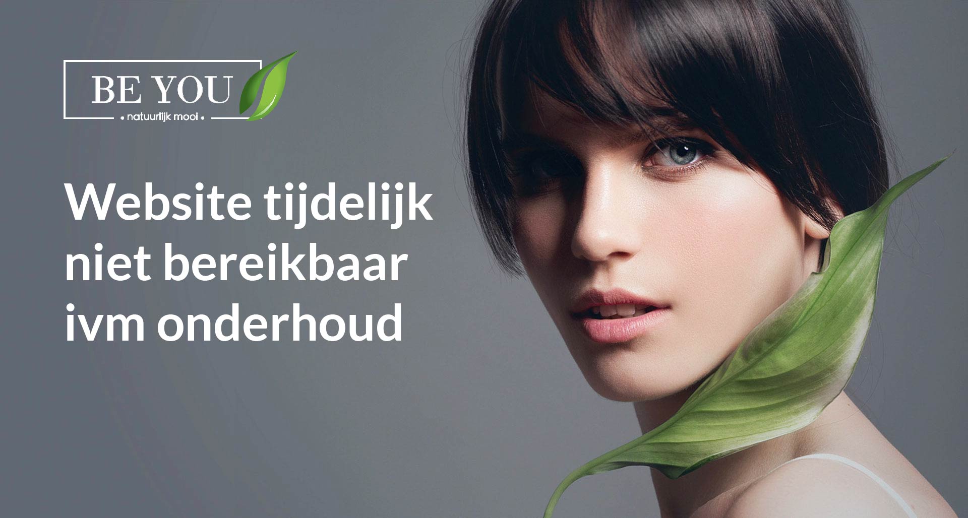 bg_bys-onderhoud